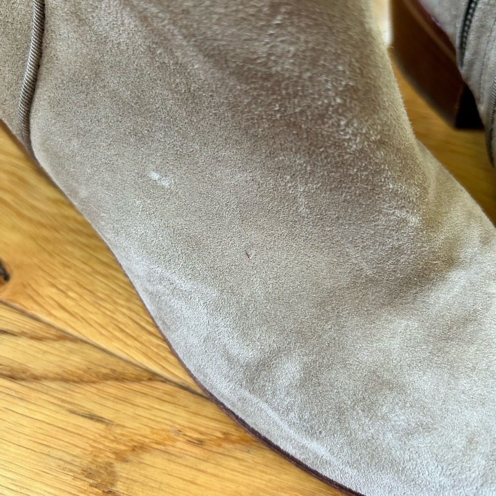 Sam Edelman suede Petty booties - Picture 9 of 12